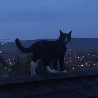 Логотип @podval161 - подвал