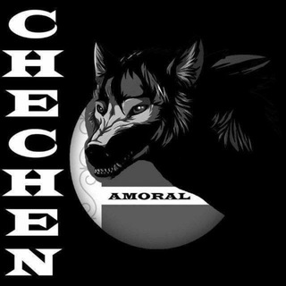 Логотип @podval_chechny_95 - Подвал Чечни 18+