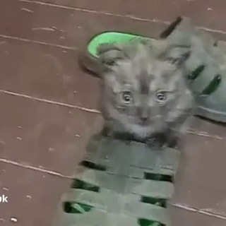 Логотип @podval_debilov1 - клуб сочных татарок