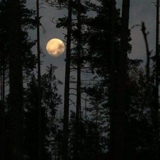 Логотип @podval_roti - Вуся кушает доритос.[временно закрыт.]