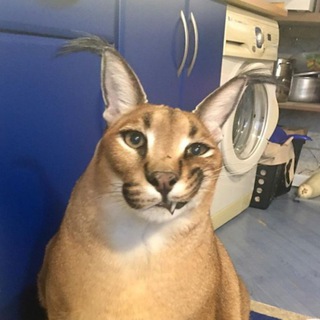 Логотип @podvalhydro - Подвал Hydr'a