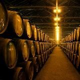 Логотип @podvalkino - podvalkino