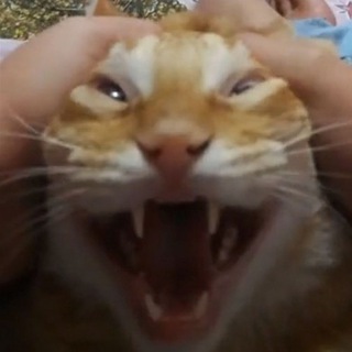 Логотип @poebats - поебать