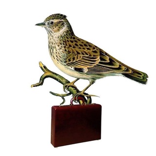 Логотип @poehala_news - Ладно, я поехала! | Новости туризма