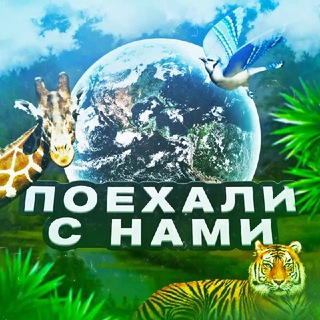 Логотип @poehali_s_nami24 - Поехали с нами 🚗 ✈️🌍