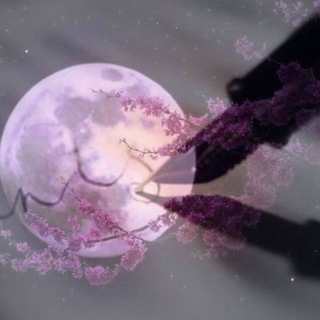 Логотип @poeta_de_luna - 🇲🇽 Poeta de Luna