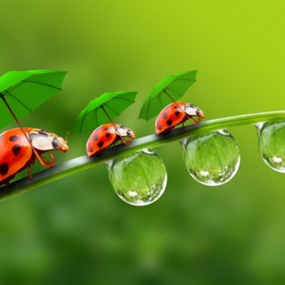 Логотип @poeticzhani - О мире в стихах