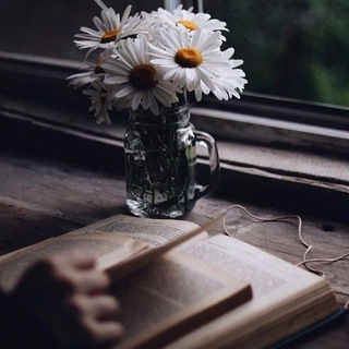 Логотип @poetrylines - شاعری روح کھینچ لیتی ھے