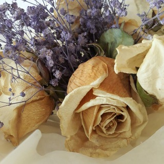 Логотип @poeziya_lekarstvo_dlya_dushi - Поэзия - лекарство для души