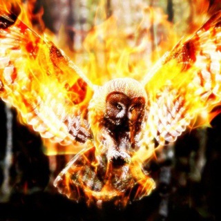 Логотип @poeziyamisli - Поэзия мысли 📝