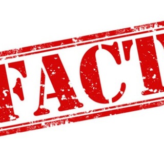 Логотип @pofaktuy - ПО ФАКТУ | SANDER | РОСТИСЛАВ