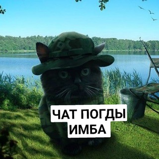 Логотип @pogdachat - 𝙋𝙤𝙙𝙫𝙖𝙡 Wexty ❗