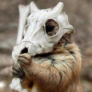 Логотип @pogoalex - Пого алекс