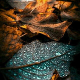 Логотип @pohudeika_s - Похудайка