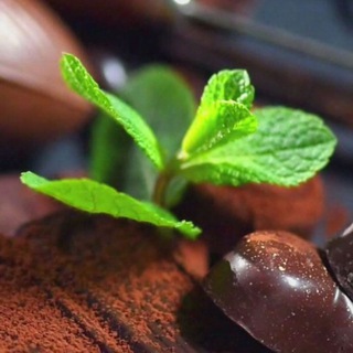 Логотип @poickklyba - ПОИСК КЛУБА ЗОЖ