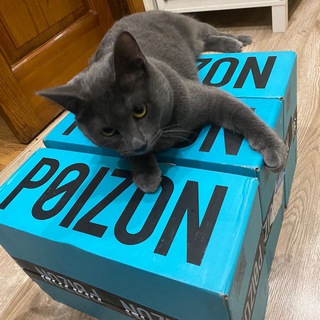 Логотип @poizoneu - Кроссовки обувь 100% original