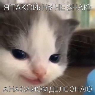 Логотип @pokajimame - Не стыдно показать маме!