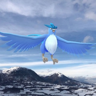 Логотип @pokemongocamerino - PoGo Raid - Camerino