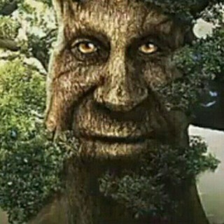 Логотип @pokistonliklar - kaka bot 💩