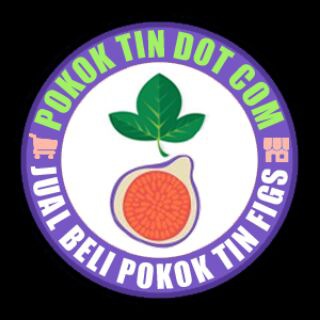 Логотип @pokoktin - Jual Beli Pokok Tin Figs