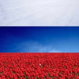 Логотип @pokrovskaya_sosh - МКОУ "Покровская СОШ"