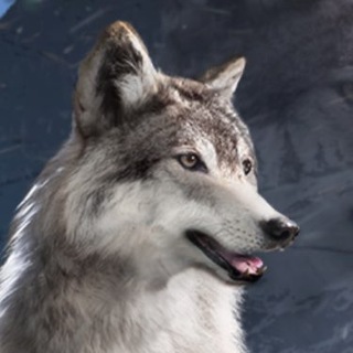 Логотип @pokupayuctut - ПОКУПКА UC