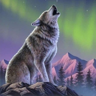 Логотип @polardozor - Полярный дозор