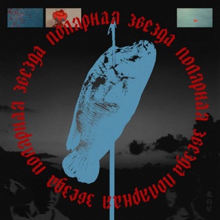 Логотип @polariss_a - полярная звезда