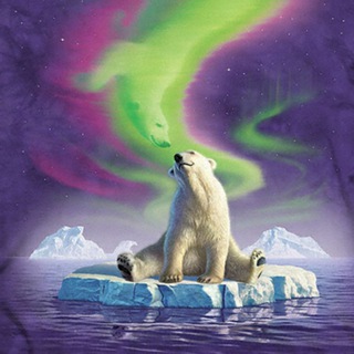 Логотип @polarvision - Полярная мозаика