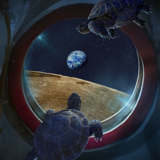 Логотип @pole_of_the_moon - Южный полюс Луны