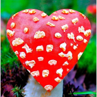 Логотип @poleznoitochki31 - Полезно и Точки