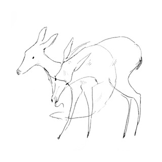 Логотип @polimanski - dir polimanski