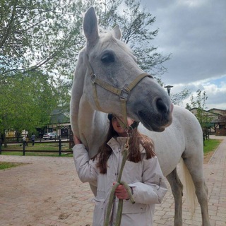 Логотип @polinadressage - PolyDressage🩶