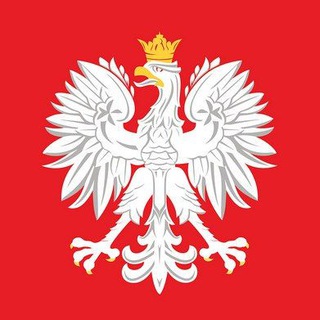 Логотип @polish_polls - Польский в опросах 🇵🇱 n+1