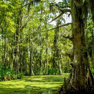 Логотип @polissya_mc - Полісся [minecraft-сервер]