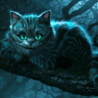 Логотип @polit_cat - Polit_Cat