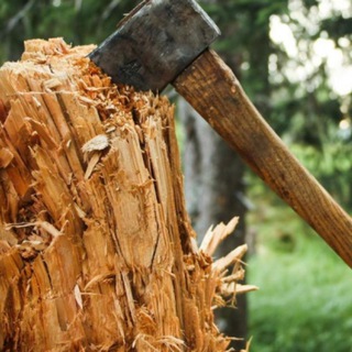 Логотип @politles - Якутский Лесоруб