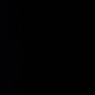 Логотип @politonelogia1 - Политонелогия