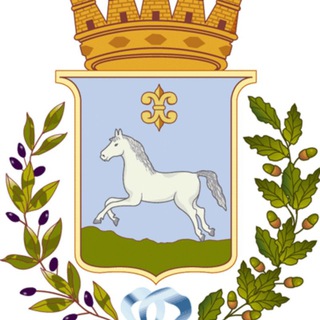 Логотип @polizialocalemartinafranca - Polizia Locale Martina Franca INFORMA