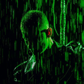 Логотип @pollarykid - Pollary Kid