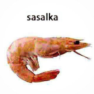 Логотип @polmateriinnopolis - притон Песни полматери 🧀