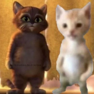 Логотип @poltfromsky - poltfromsky