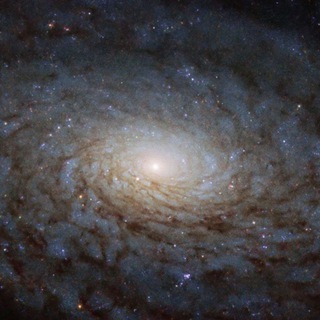 Логотип @poltorachata - Qanafiya Chat