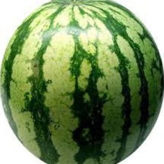 Логотип @poltymelon - Бункер Полти