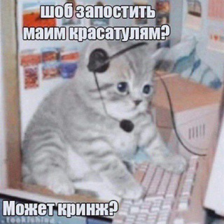 Логотип @polumsss - дом котов и эдитов polums 💋