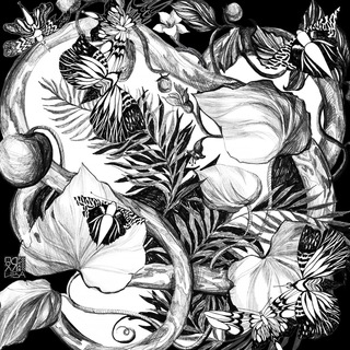 Логотип @polyarnaya_iva - Полярная Ива