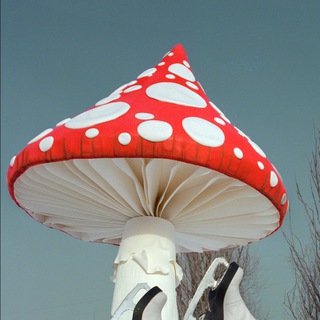 Логотип @polyavderevke - Polyaizderevki