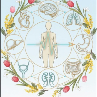 Логотип @polymorbidnost - Гид полиморбидности