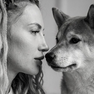 Логотип @polynkapay - PolynkaPay