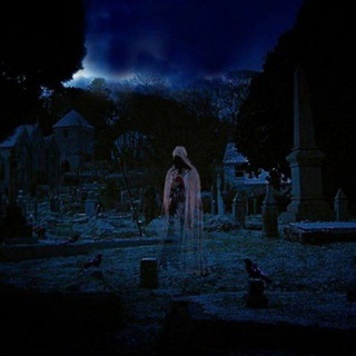 Логотип @polywarq - attempt at life.